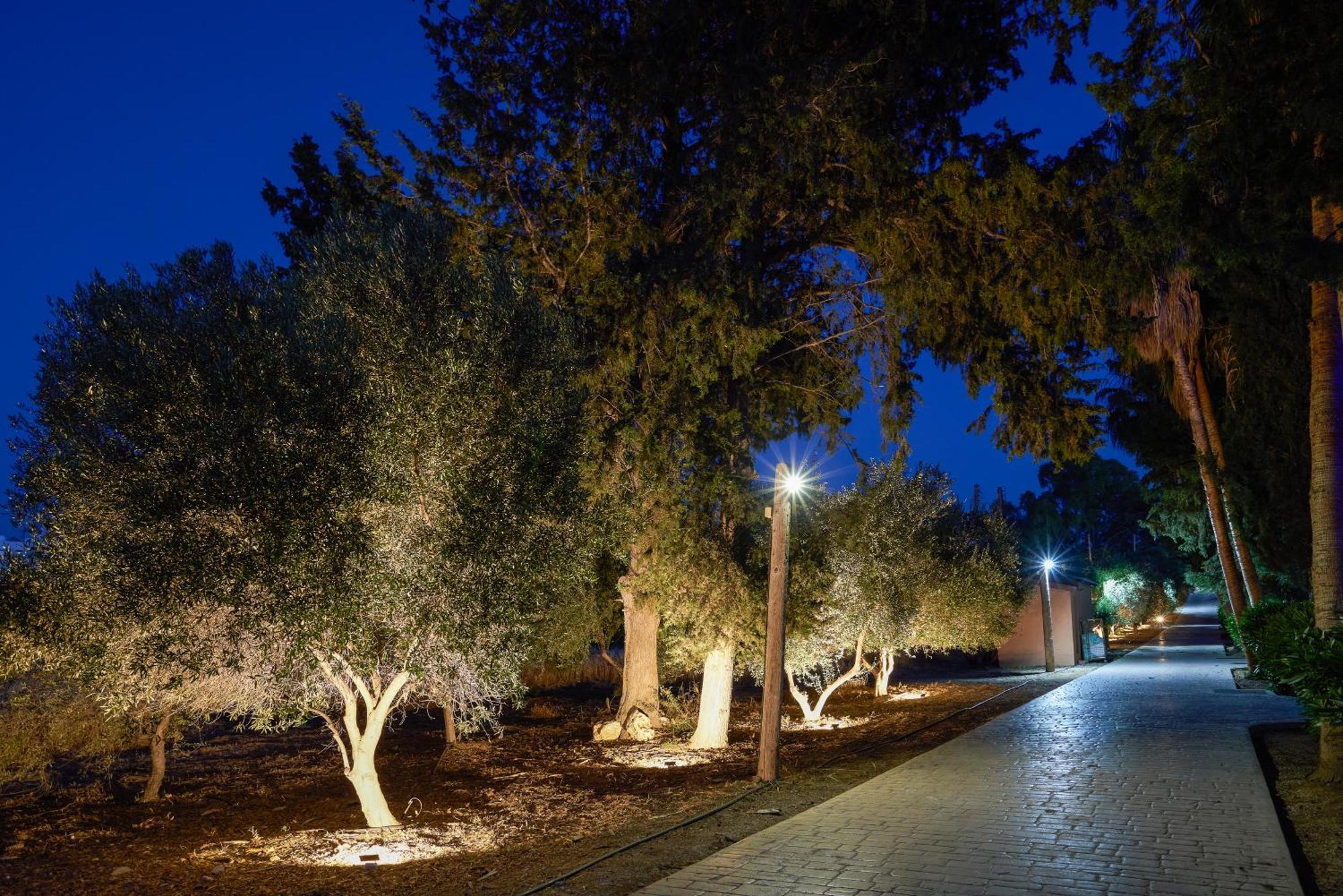 The Olympians Villas Polis Buitenkant foto